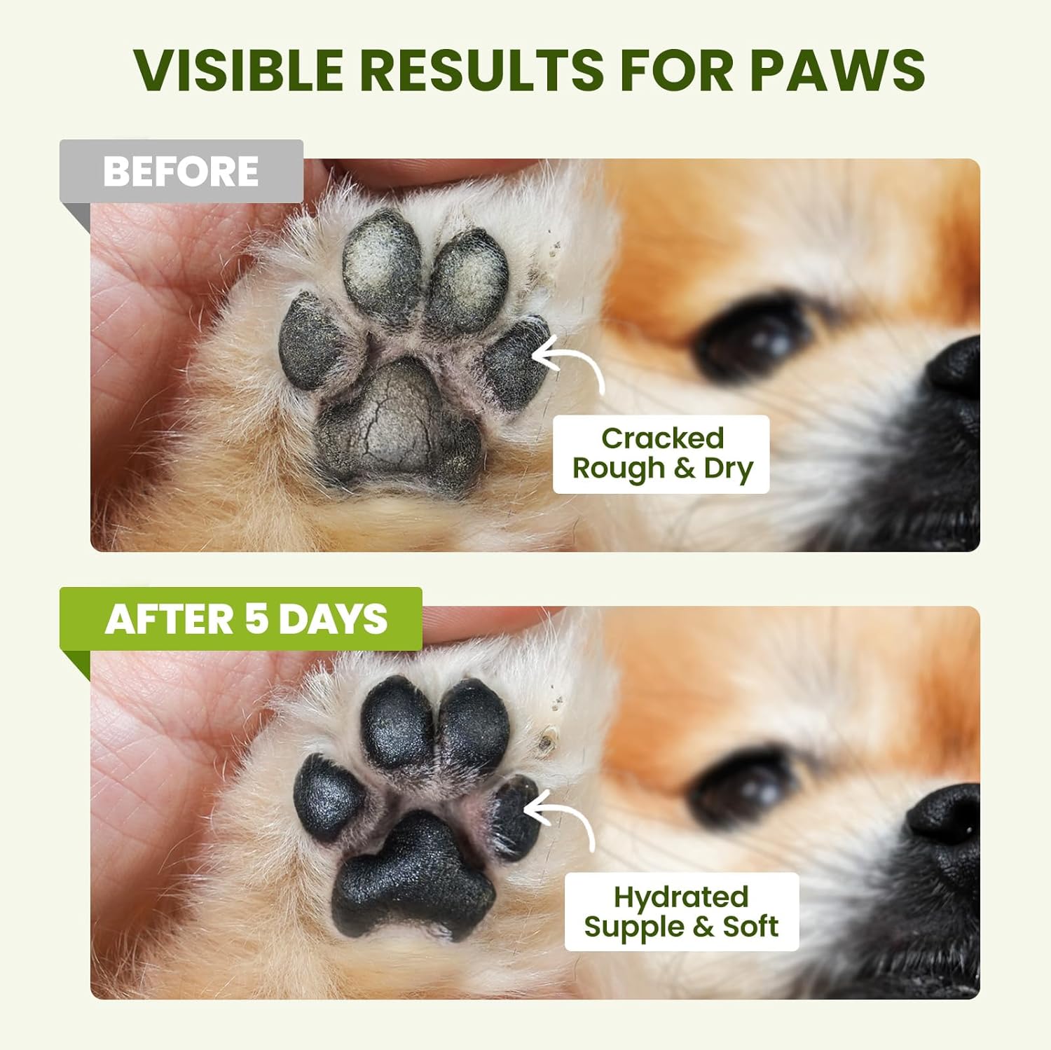 Lick-Safe Dog Paw & Nose Balm with Coconut Oil | All-Natural Paw Cream & Wax for Dry, Cracked Pads & Snouts| Cat Moisturizer & Soother, Nose Butter for Bulldogs| Horse Hoof Care (60 g /2.1 oz) - Image 4
