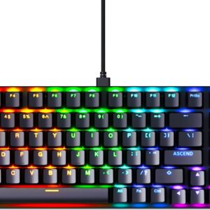 Glorious GMMK 2 Gaming Mechanical Keyboard - Hotswap Cherry Mx Style Linear Switches- Full Size Wired Keyword- Double Shot Keycaps, RGB - PC Setup Accessories - 96%, Black
