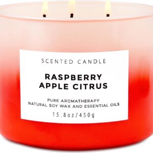 Raspberry Apple Citrus Scented Candle - Large 3 Wick Soy Candle 15.8 oz - Fruit Scented Aromatherapy Candle for Relaxation & Stress Relief - Long Lasting Clean Burn - Gift for Women & Men