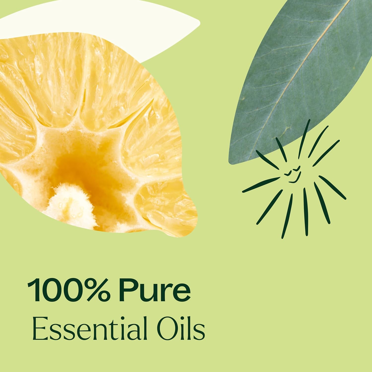 Plant Therapy Immune Aid Essential Oil Blend 10 mL (1/3 oz) 100% Pure, Undiluted, Therapeutic Grade - Image 5