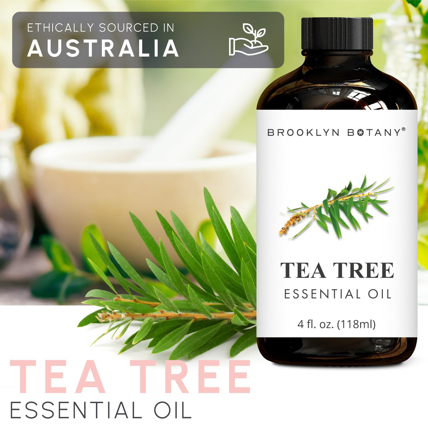 Brooklyn Botany 4 Oz 100% Pure Tea Tree Essential Oil for Aromatherapy with Dropper - Image 5