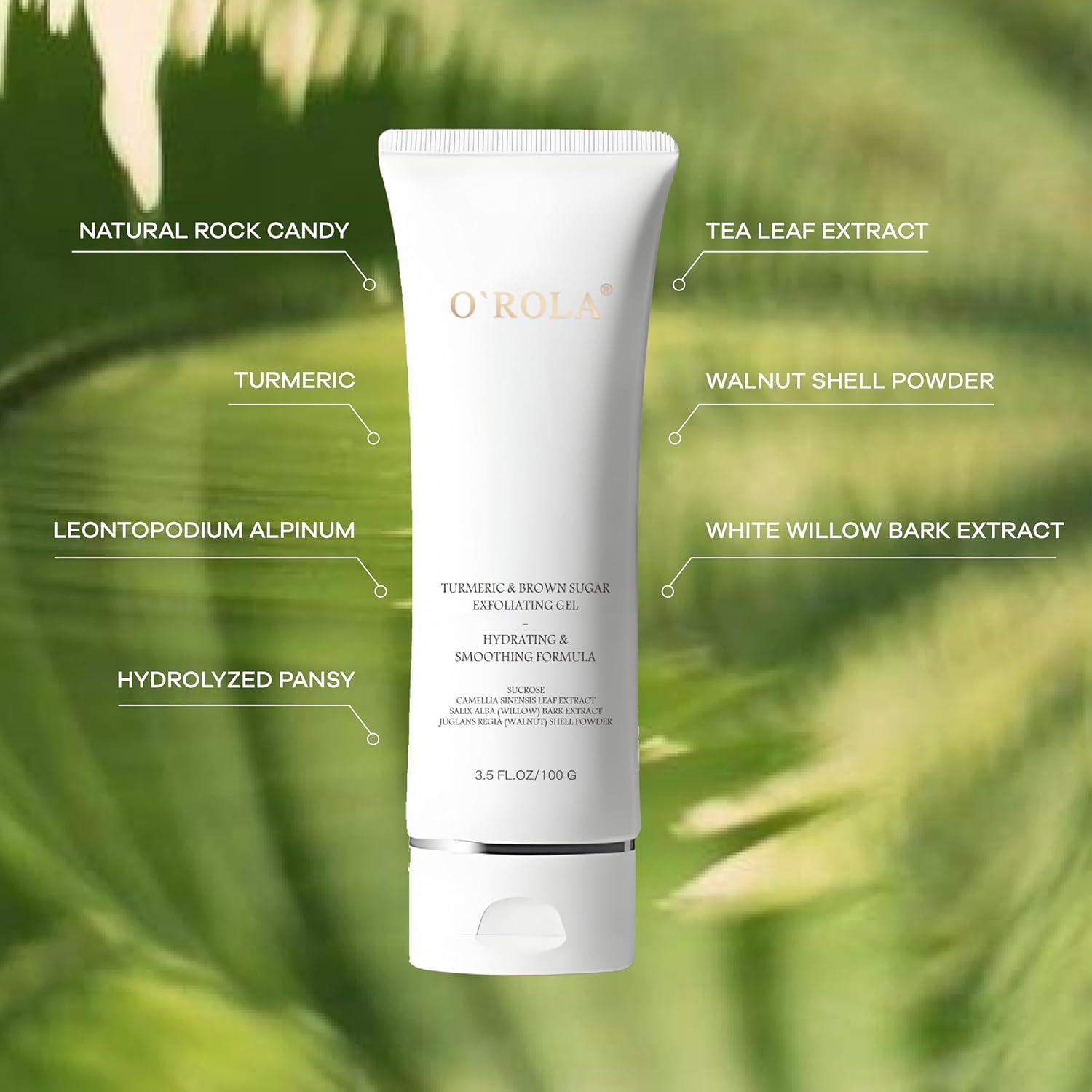Turmeric & Brown Sugar Exfoliating Gel – Hydrating & Smoothing Face Scrub with Camellia Leaf, Walnut Shell & Willow Bark | Gentle Exfoliator for Dull Skin, 3.5 Fl Oz (100g) - Image 2