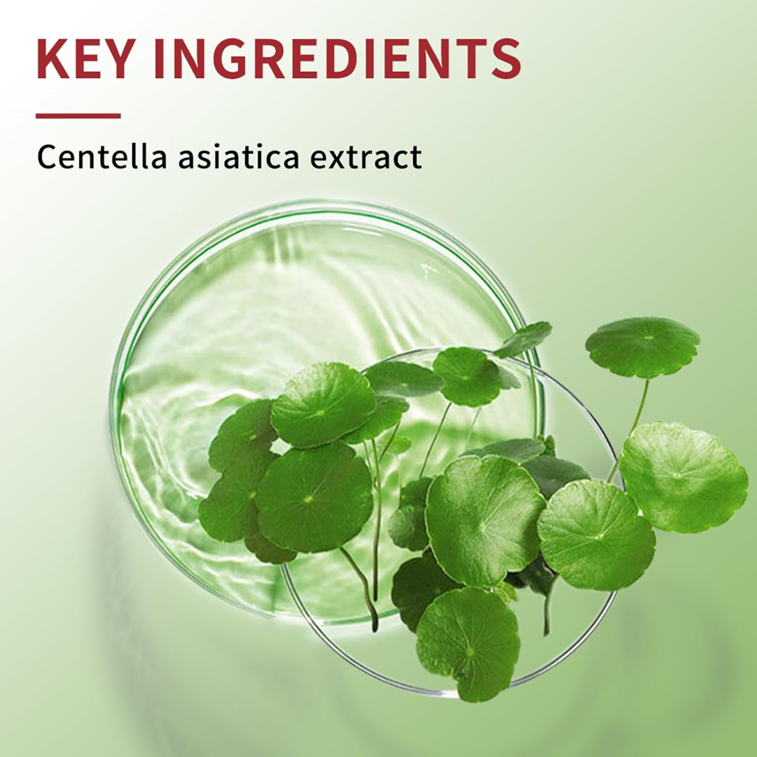 CC Cream Red Corrector with Centella for Blemishes, Acne Marks, 1 Pack - Image 4