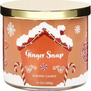 Gingerbread Christmas Scented Candle - Large 3 Wicks, 14 oz, Gift