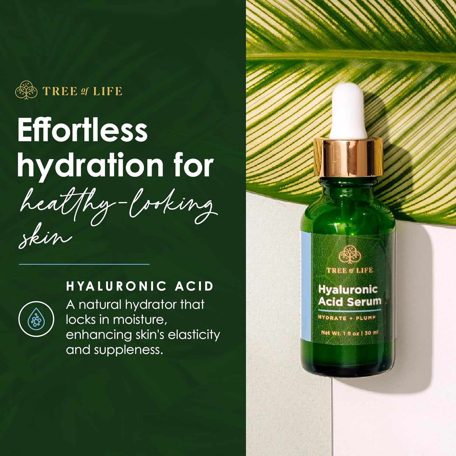 Tree of Life Beauty 2 Fl Oz Hyaluronic Acid Serum for Dark Spots and Dry Skin - Image 3
