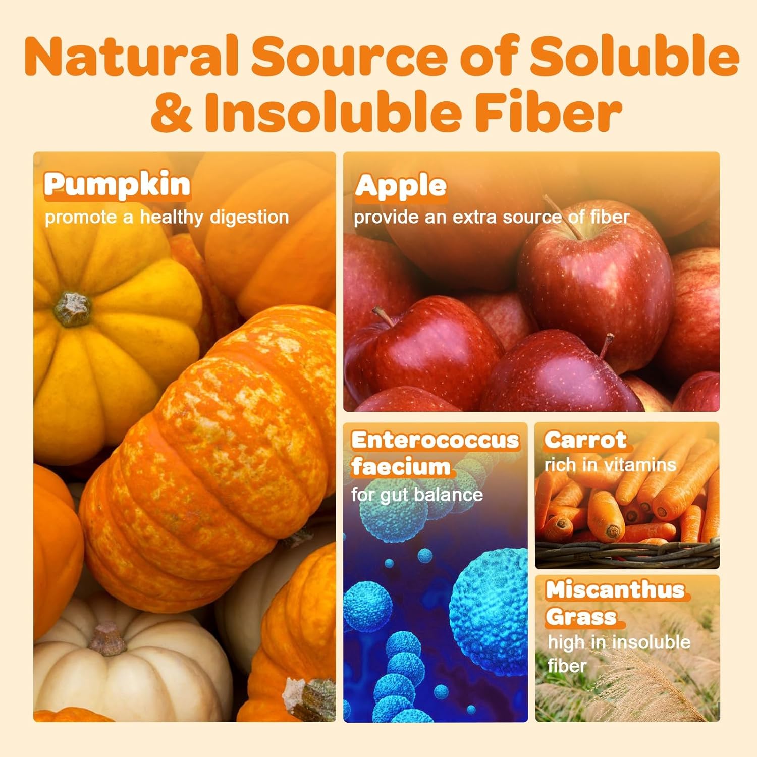Pumpkin for Dogs - Natural Fiber for Dogs and Cats, with Apple, Dog Probiotics for Digestive Health, Support Firm Stool, Diarrhea, Constipation, Add Water to Make Pumpkin Puree for Dogs, 10.58 oz - Image 2