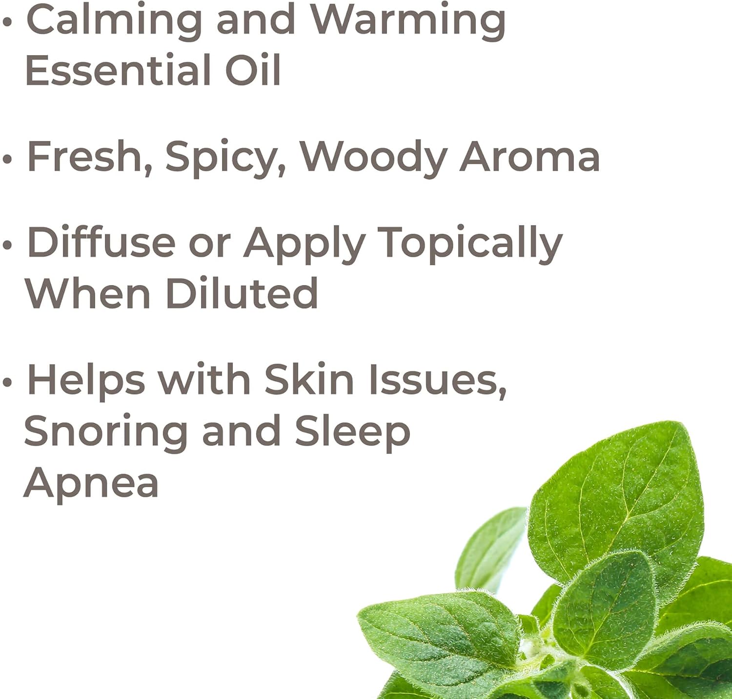 Plant Therapy Marjoram Sweet Essential Oil | 100% Pure, Undiluted, Natural Aromatherapy, Therapeutic Grade | 10 Milliliter (1/3 Ounce) - Image 2