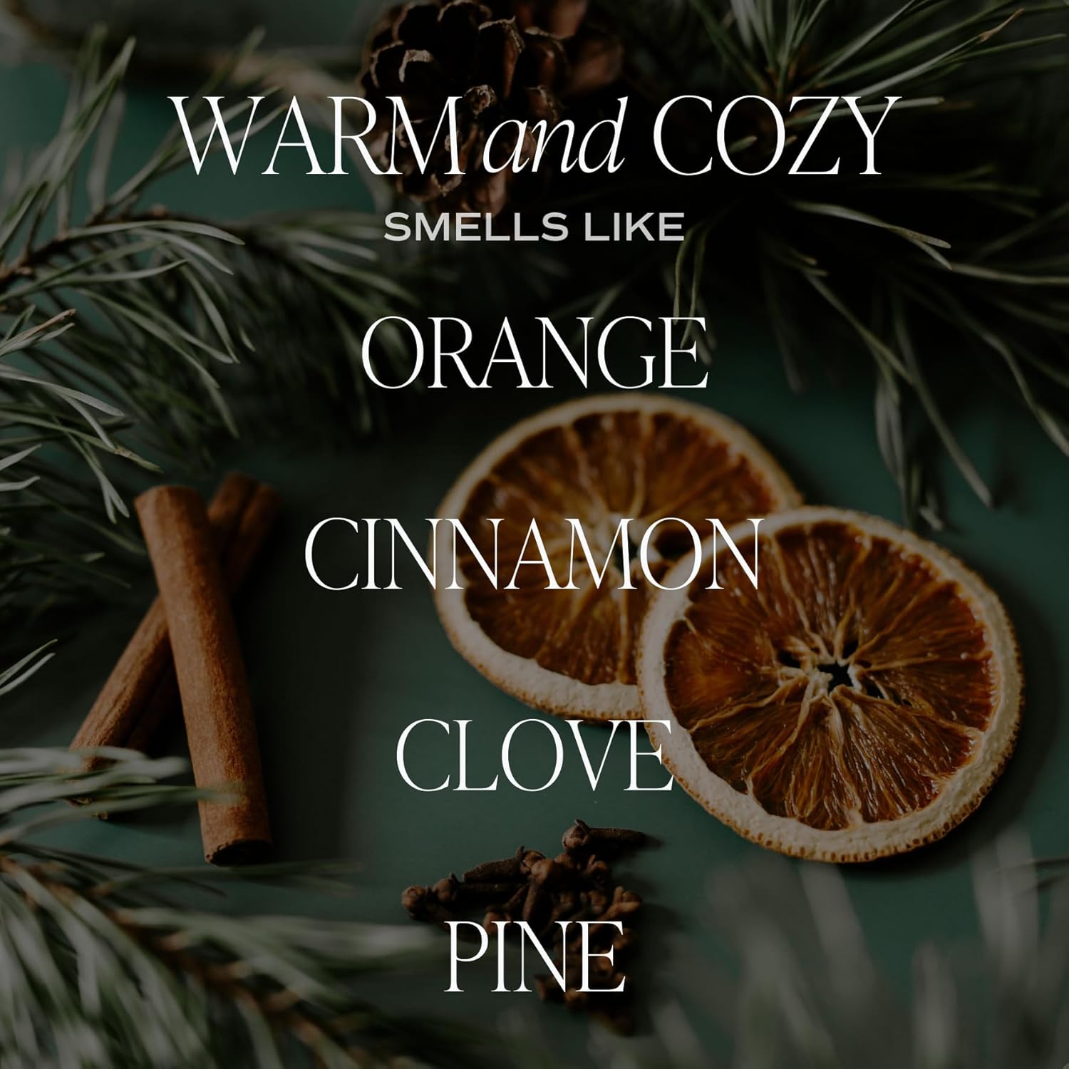 Sweet Water Decor 9oz Pine Cinnamon Fir Scented Soy Candle 40 Hour Burn Time - Image 3
