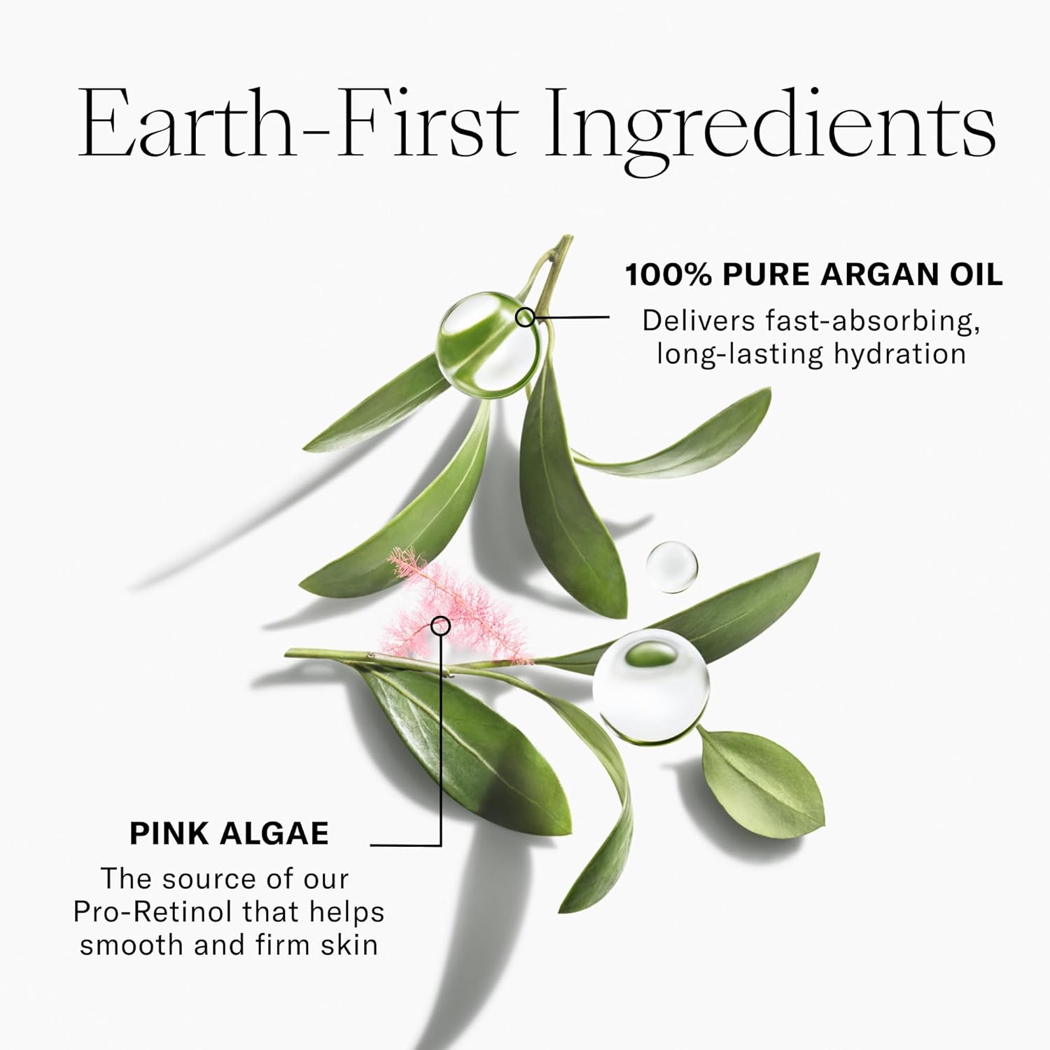 Josie Maran Whipped Argan Pro-Retinol Body Butter Vanilla Bean 8 Oz - Ultra-Hydrating Retinol Cream - Image 3