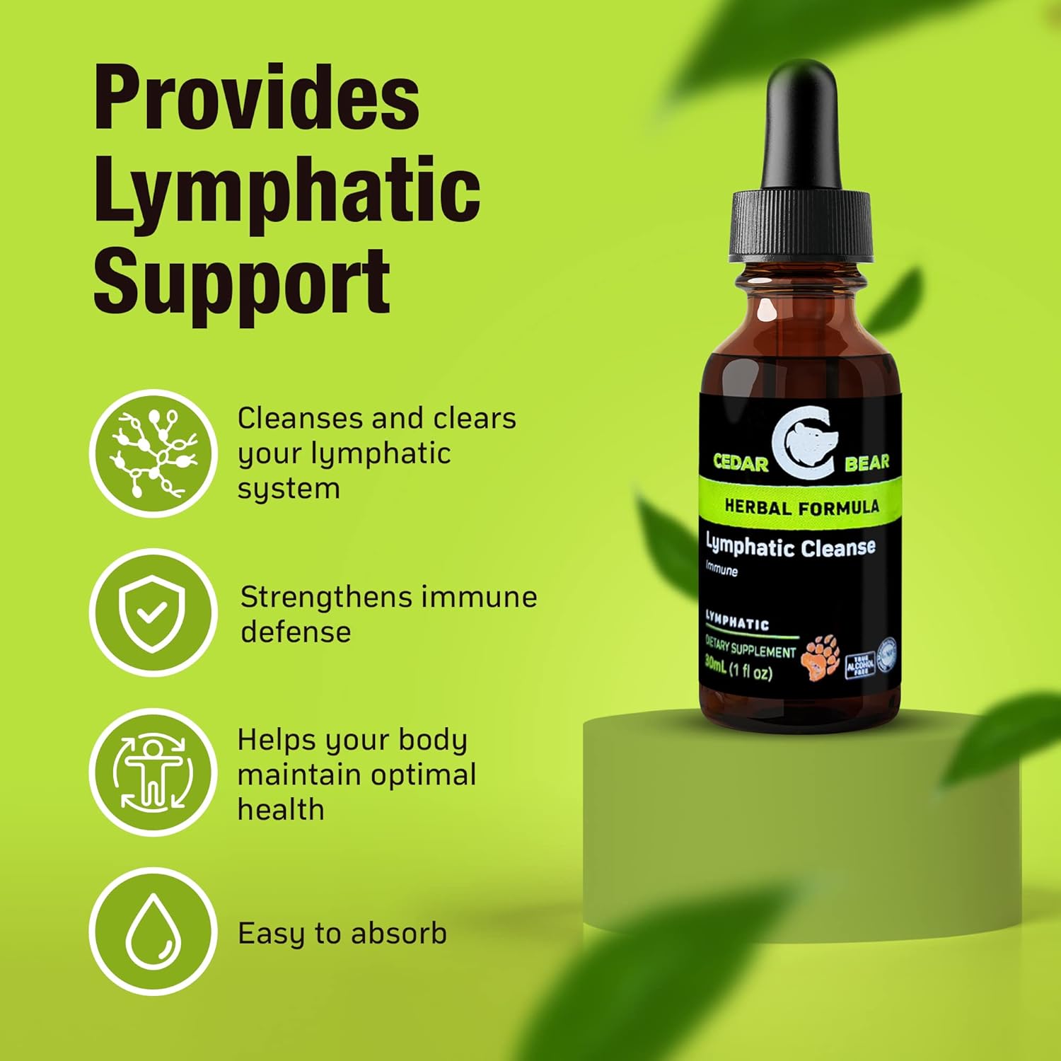 Cedar Bear Lymphatic Cleanse Alcohol-Free Herbal Drops for Immune Support, 1 fl oz - Image 6