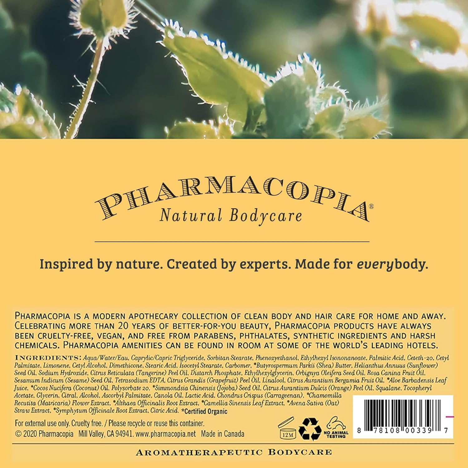 Pharmacopia Citrus Body Lotion - Hydrating Natural Moisturizer with Aromatherapy Benefits - Cruelty-Free Vegan Skin Care - Shea Butter, Aloe Vera, and Jojoba Oil - Lotion for Dry Skin, 16 oz - Image 9