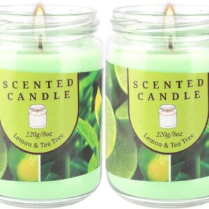2 Pack Lemon & Tea Tree Odor Elimination Scented Candles Gift Set for Women, Soy Wax Aromatherapy Candles for Home
