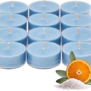 PartyLite Gift Set of 12 Universal Tea Lights, Sea Salt & Sage Scented, Notes of Salted Air, Sea-Soaked Sage, Driftwood, Coconut & Sandalwood, 4-6 Hour Burn Time, Luxurious & Rich, Perfect for Gifting