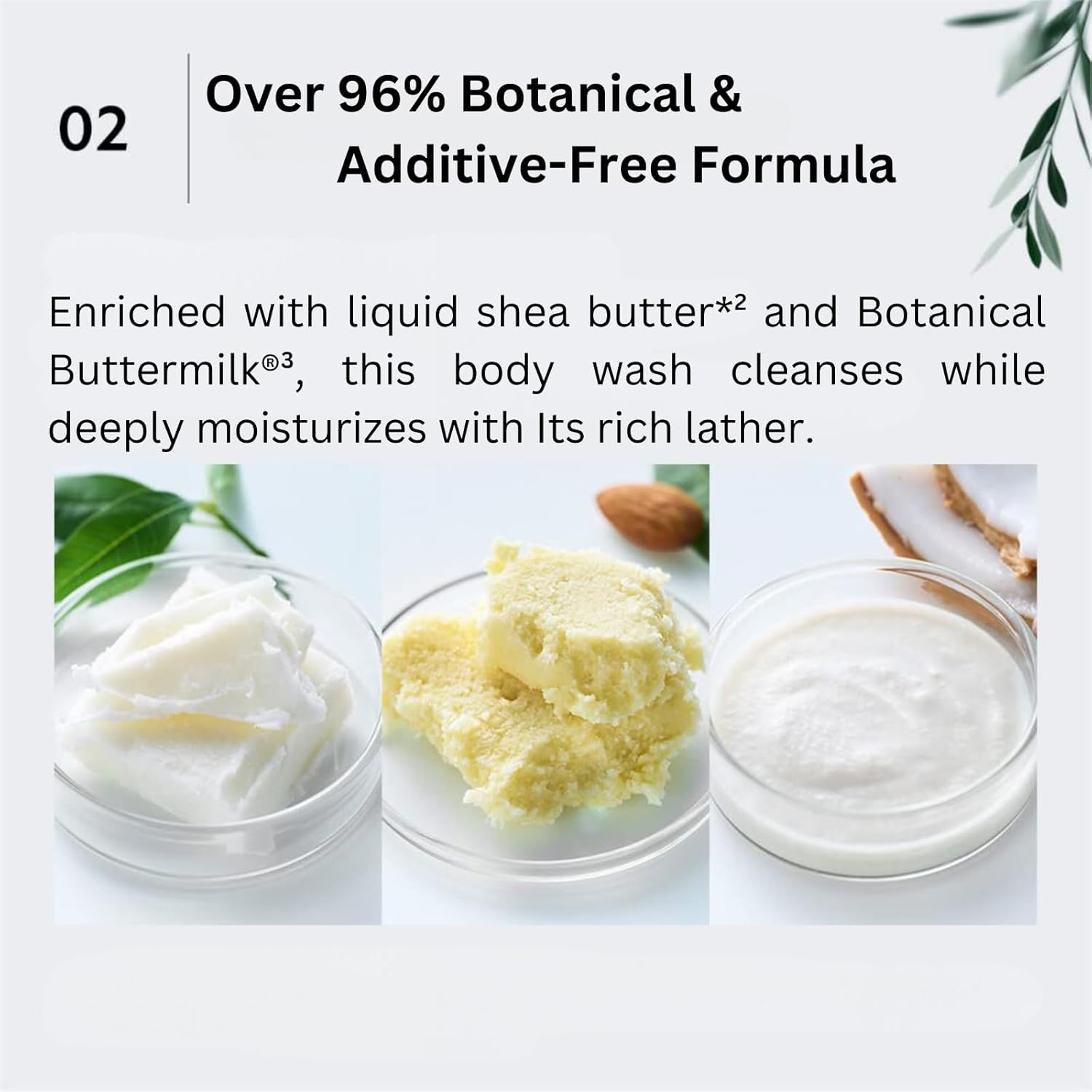Organic Shea Butter Foaming Body Wash for Sensitive Skin, Rose Peach Scent, 15.2 Fl Oz - Image 4