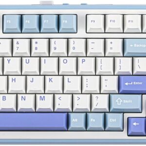EPOMAKER TH99 Tri-Mode Wireless Mechanical Keyboard with 8000mAh Battery, Hot Swappable Custom RGB Gaming Keyboard with Numpad, Gasket Creamy for PC/Mac/Office (Blue&White)
