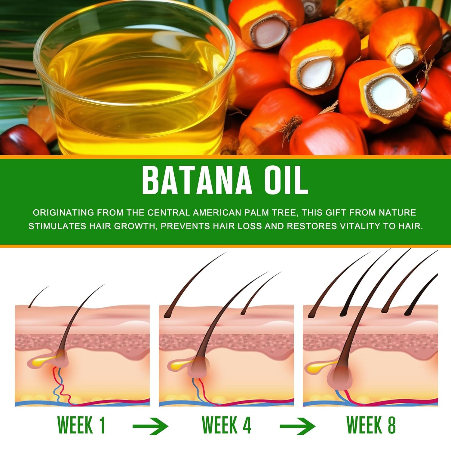 VXHDAG Pure Batana Oil 2.02 fl oz from Honduras for Hair Growth and Split End Repair - Image 6