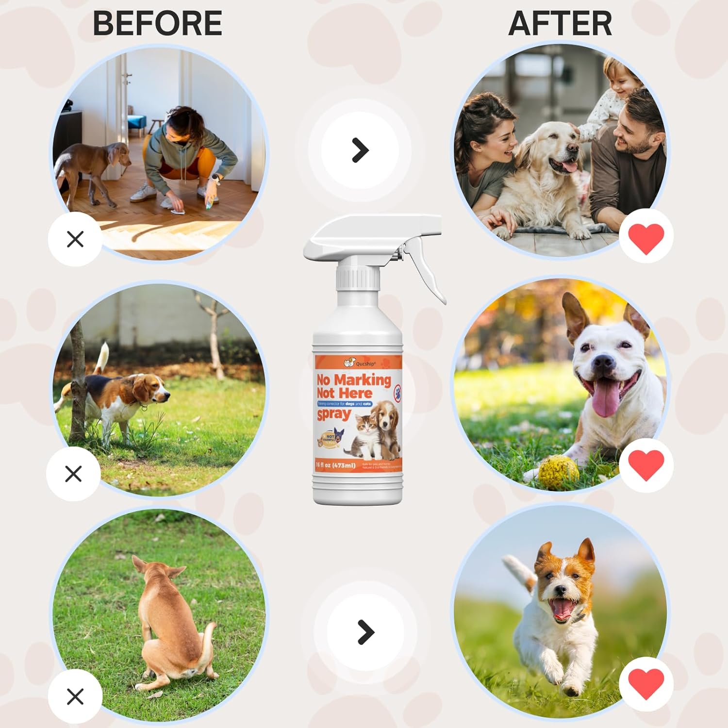 Qucship 16 Oz Dog Training Spray for Effective Pet Behavior Management - Image 4