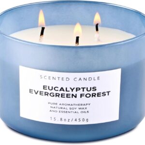 Eucalyptus Evergreen Forest 3 Wick Scented Candle | Luxury Soy Candles for Home | Relaxing Aromatherapy Stress Relief Candle 15.8 oz | Clean Burn Long Lasting Balsam Fir Woods Candles for Men & Women