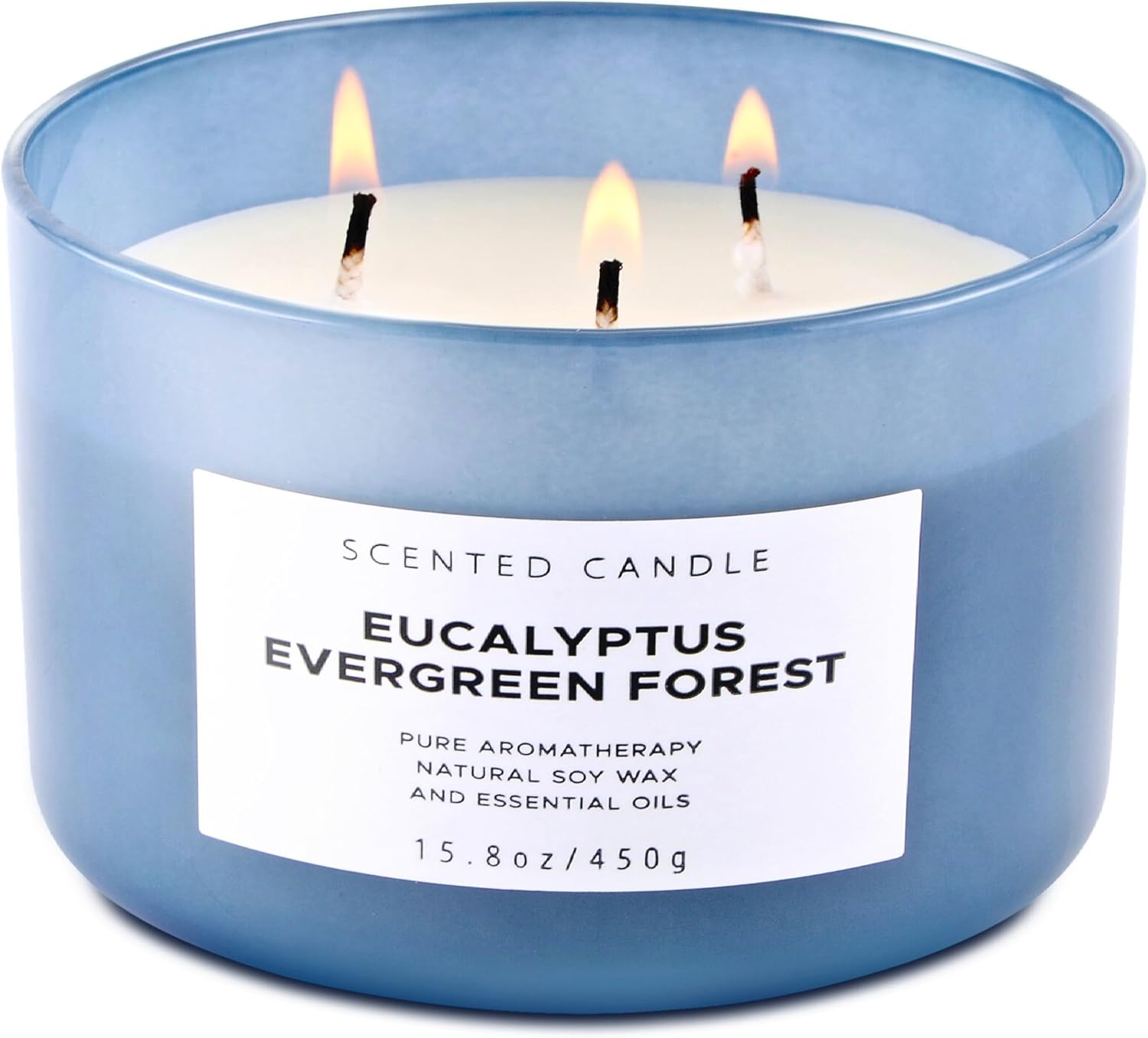 Eucalyptus Evergreen Forest 3 Wick Scented Candle | Luxury Soy Candles for Home | Relaxing Aromatherapy Stress Relief Candle 15.8 oz | Clean Burn Long Lasting Balsam Fir Woods Candles for Men & Women