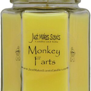 Just Makes Scents Monkey Farts Scented Blended Soy Candle (8 oz)