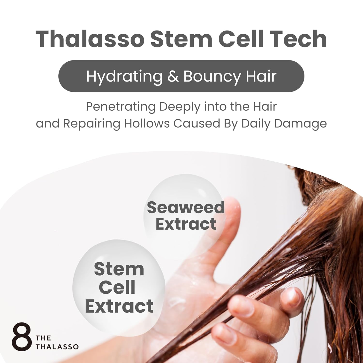 8 THE THALASSO Hair Milk for Dry & Frizzy Hair Women & Men, Natural Leave in Conditioner w/Deep Ocean Water from Japan, Moisturizing Serum for Use Before Drying, Sleeping, or Styling, 4.9 Fl Oz - Image 6
