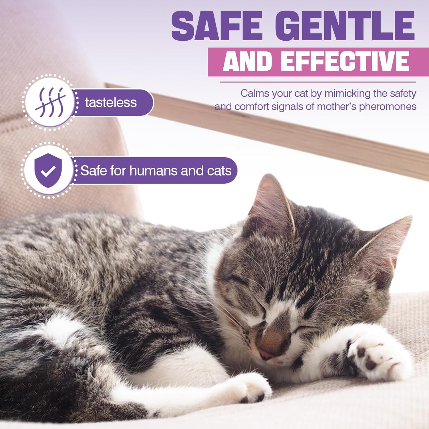 Cat Calming Pheromone Diffuser Refill 6 Pack 48ml for Multicat Homes - Image 5