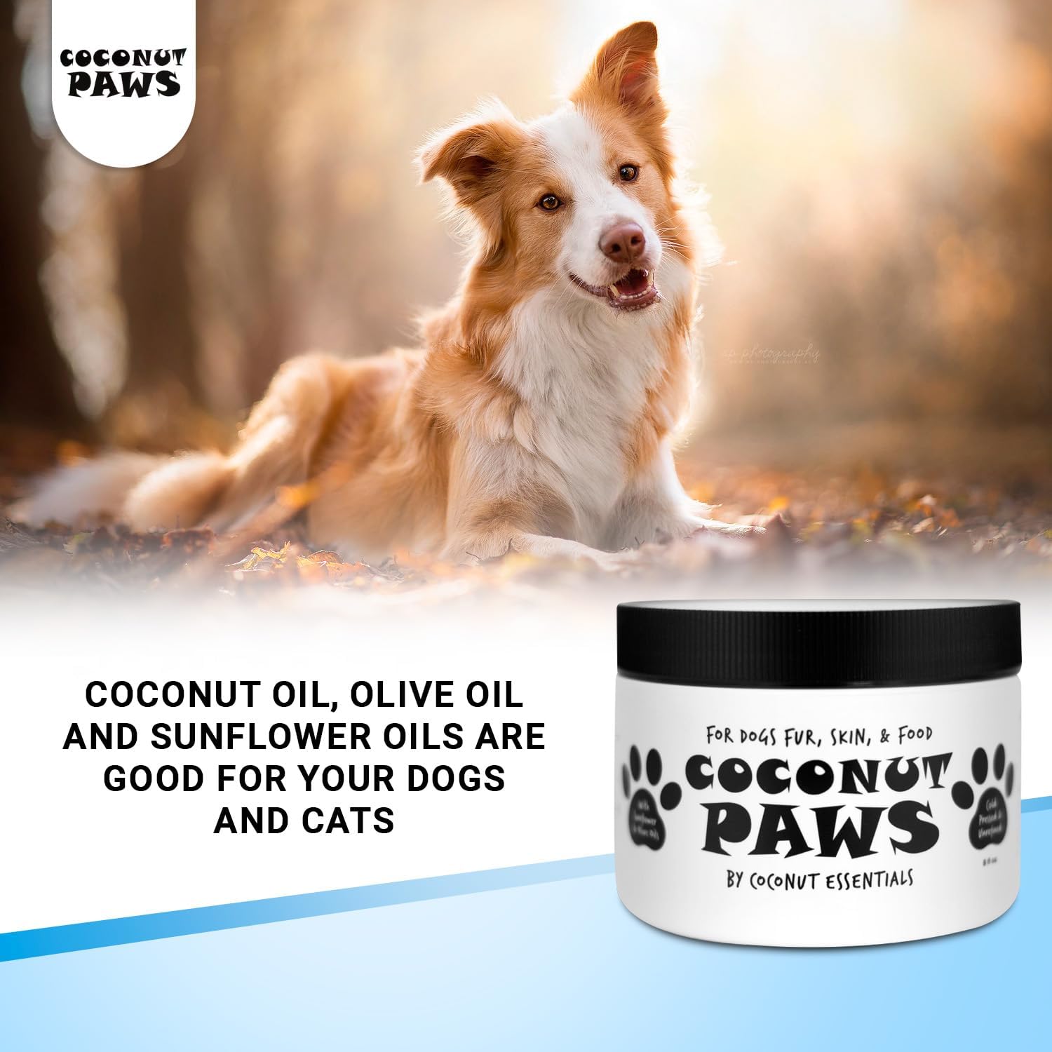 Coconut Paws 8oz Dog Skin and Coat Itch Relief Hot Spot Treatment with Olive and Sunflower Oils - Image 6