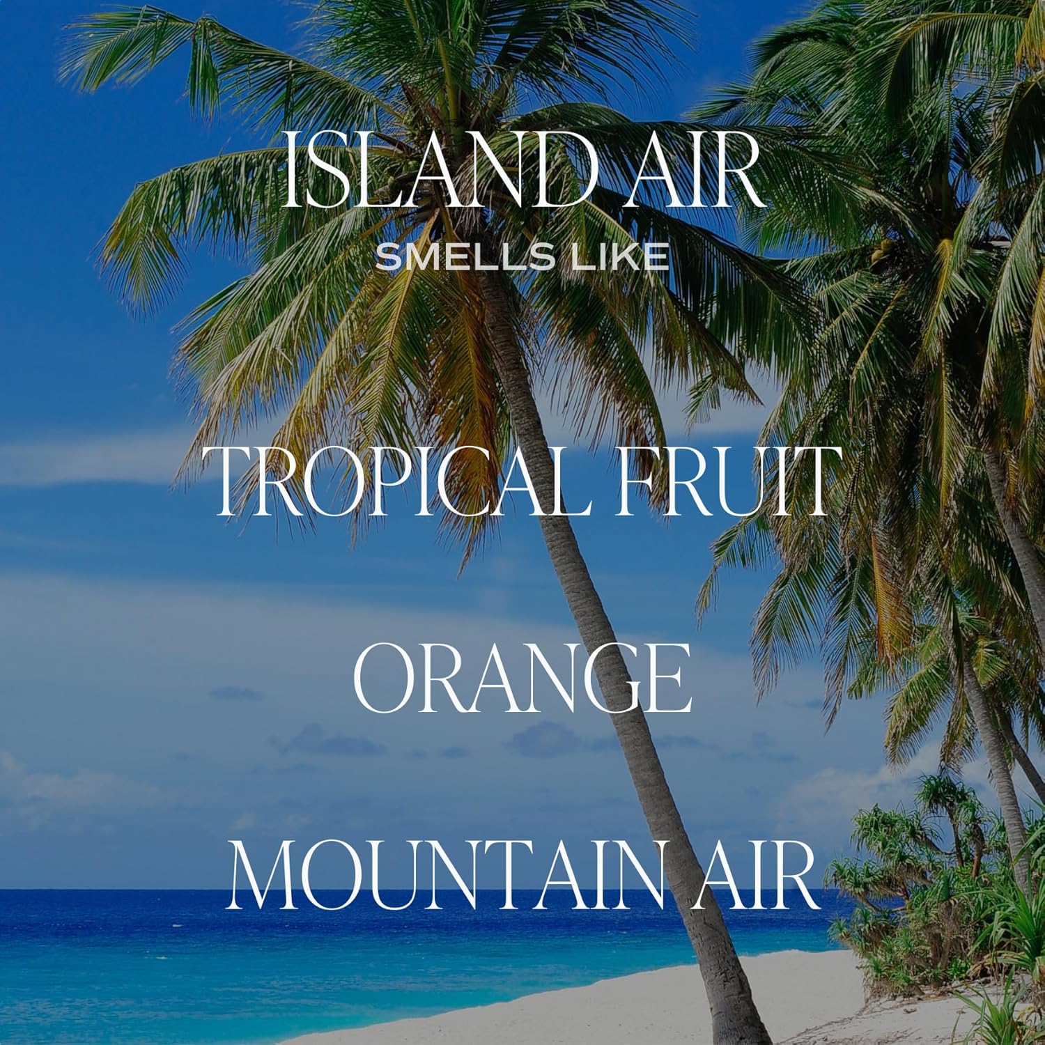 Sweet Water Decor Island Air Soy Candle - Tropical Fruit, Mountain Air, and Orange Scented Summer Candles for Home - 9oz Clear Jar and Gold Lid, 40+ Hour Burn Time, Made in the USA - Image 3