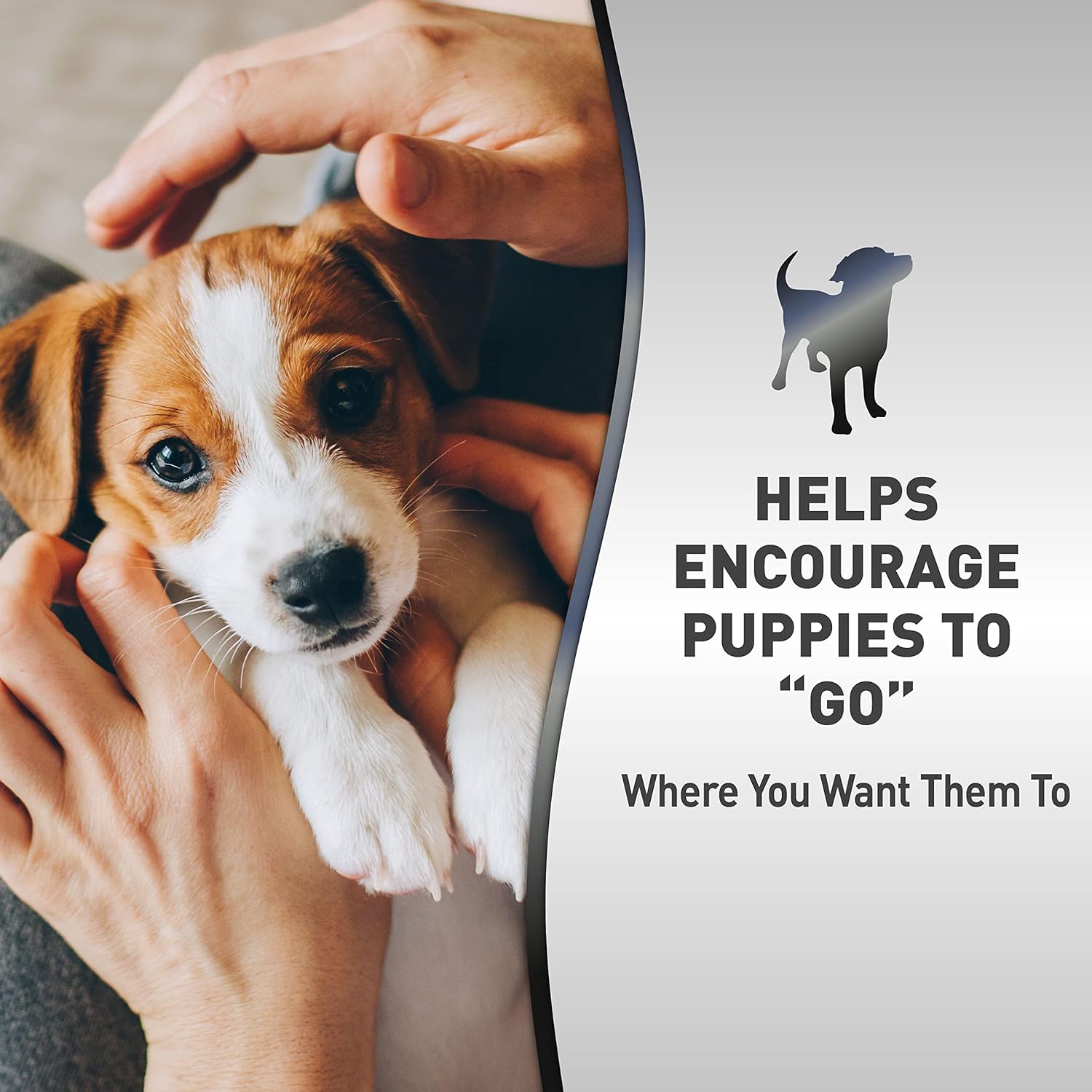 Nature’s Miracle Advanced Platinum Puppy Potty Training Spray, 16 Ounces, Dog Training Aid - Image 3