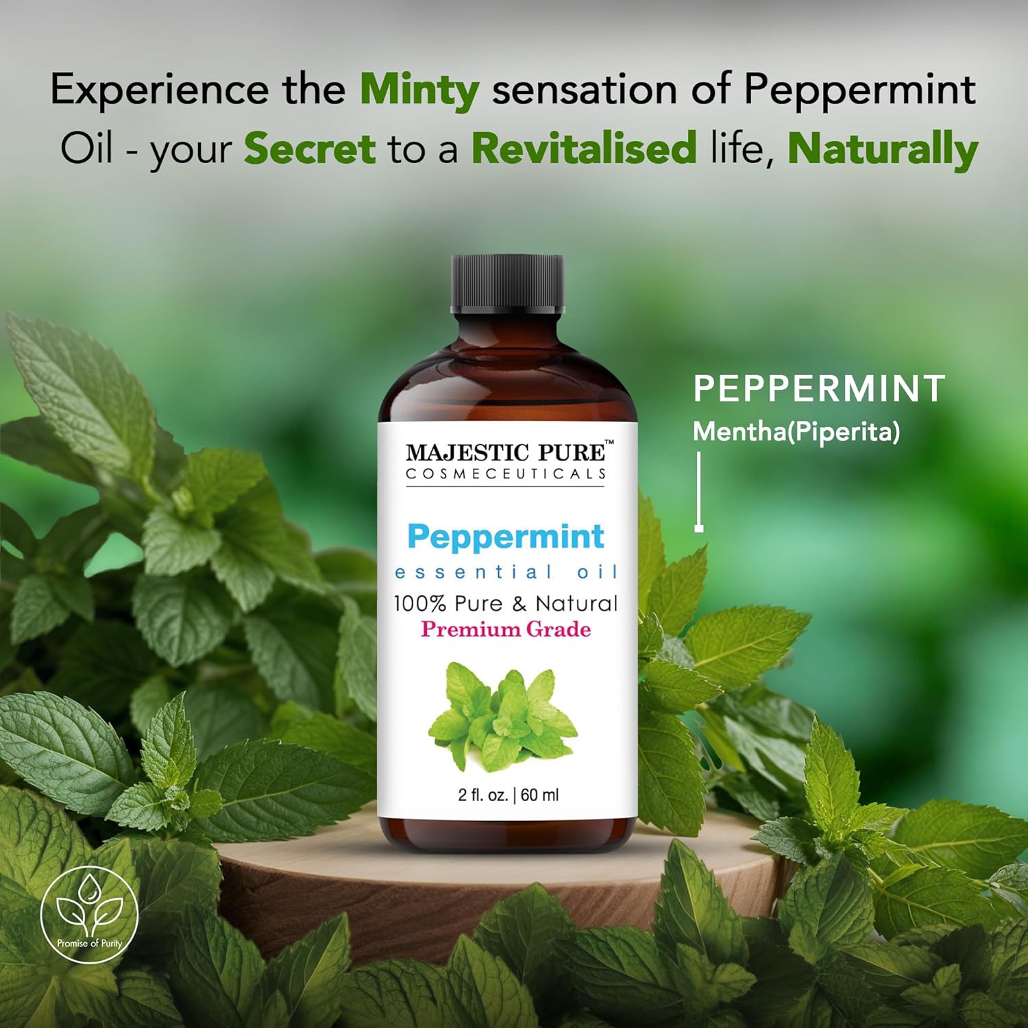 MAJESTIC PURE Peppermint Essential Oil with Glass Dropper | 100% Pure and Natural Peppermint Oil | Premium Grade Essential Oils for Diffusers, Skin, Aromatherapy, Massage | 2 Fl Oz - Image 5