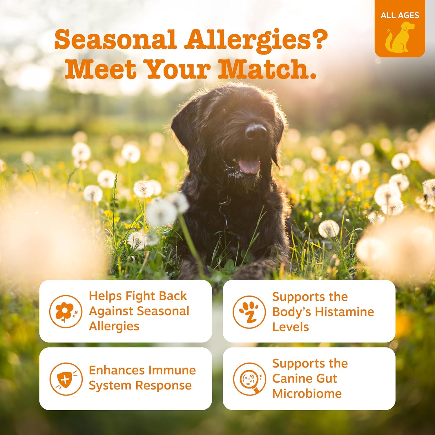 Zesty Paws Dog Allergy Relief- Dog Itching Skin Relief- Dog Probiotics for Itchy Skin and Itchy Ears- Dog Allergy Paw Relief- Dog Allergy Chews- Dog Itch Relief - Dog Skin Allergy Relief - Lamb - 90ct - Image 2