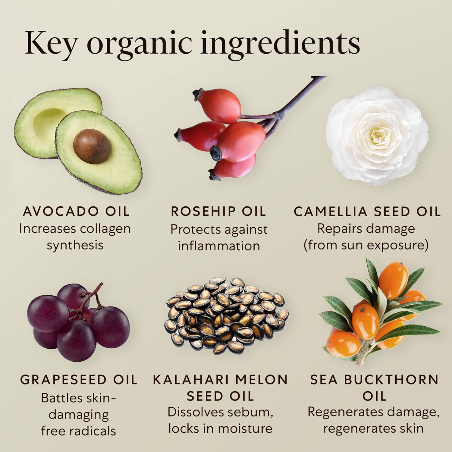 AVOILA Organic Face Oil for Dry, Sensitive, Aging Skin - Vegan Moisturizer with Oils - Image 2