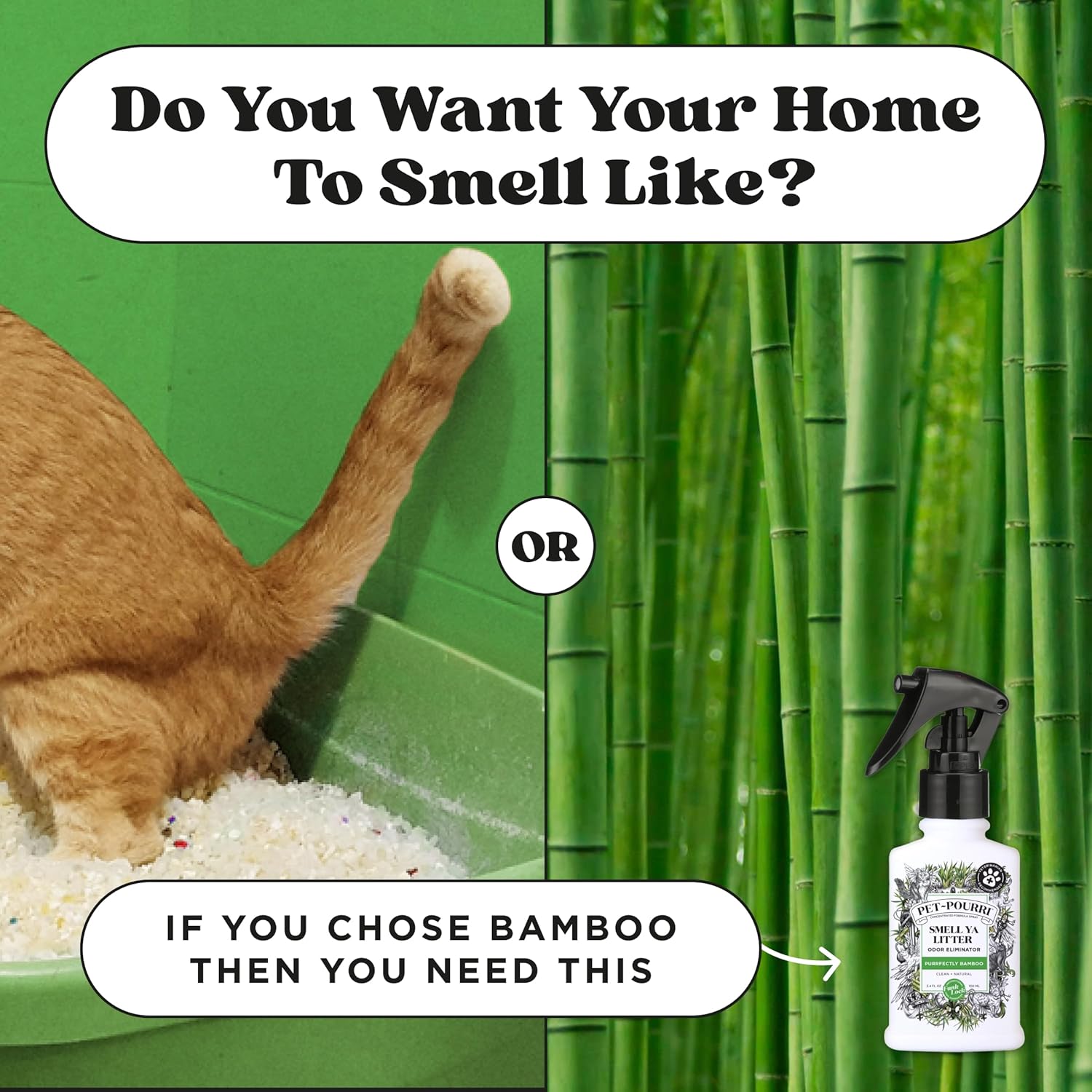 Pet-Pourri Smell Ya Litter Cat Deodorizer Spray – Kitty Litter Box & Home Odor Freshener – Plant Based Ingredients – Vet Recommended – Great for Air, Carpet, Litter Box, Pee, Urine & Strong Pet Odors - Image 7