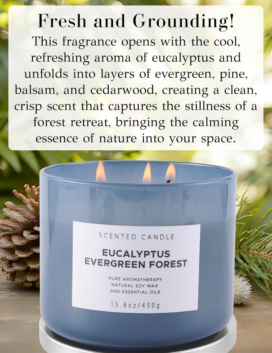 Eucalyptus Evergreen Forest 3 Wick Scented Candle | Luxury Soy Candles for Home | Relaxing Aromatherapy Stress Relief Candle 15.8 oz | Clean Burn Long Lasting Balsam Fir Woods Candles for Men & Women - Image 2