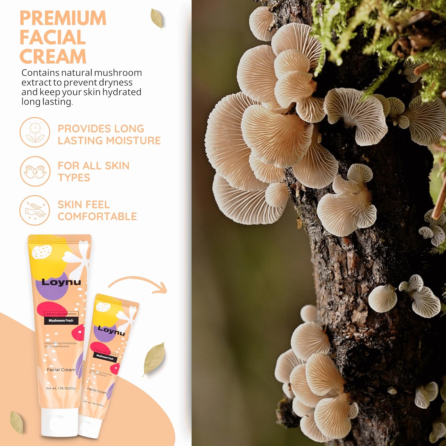 Face Moisturizer for Dry Skin, Korean Facial Cream, Moisture for Sensitive Skin, Hydrating Lotion with White Musk/Mushroom Fragrance, Thick Extra Moisturizing (Non-Irritating Formula), 1.76 Oz - Image 2
