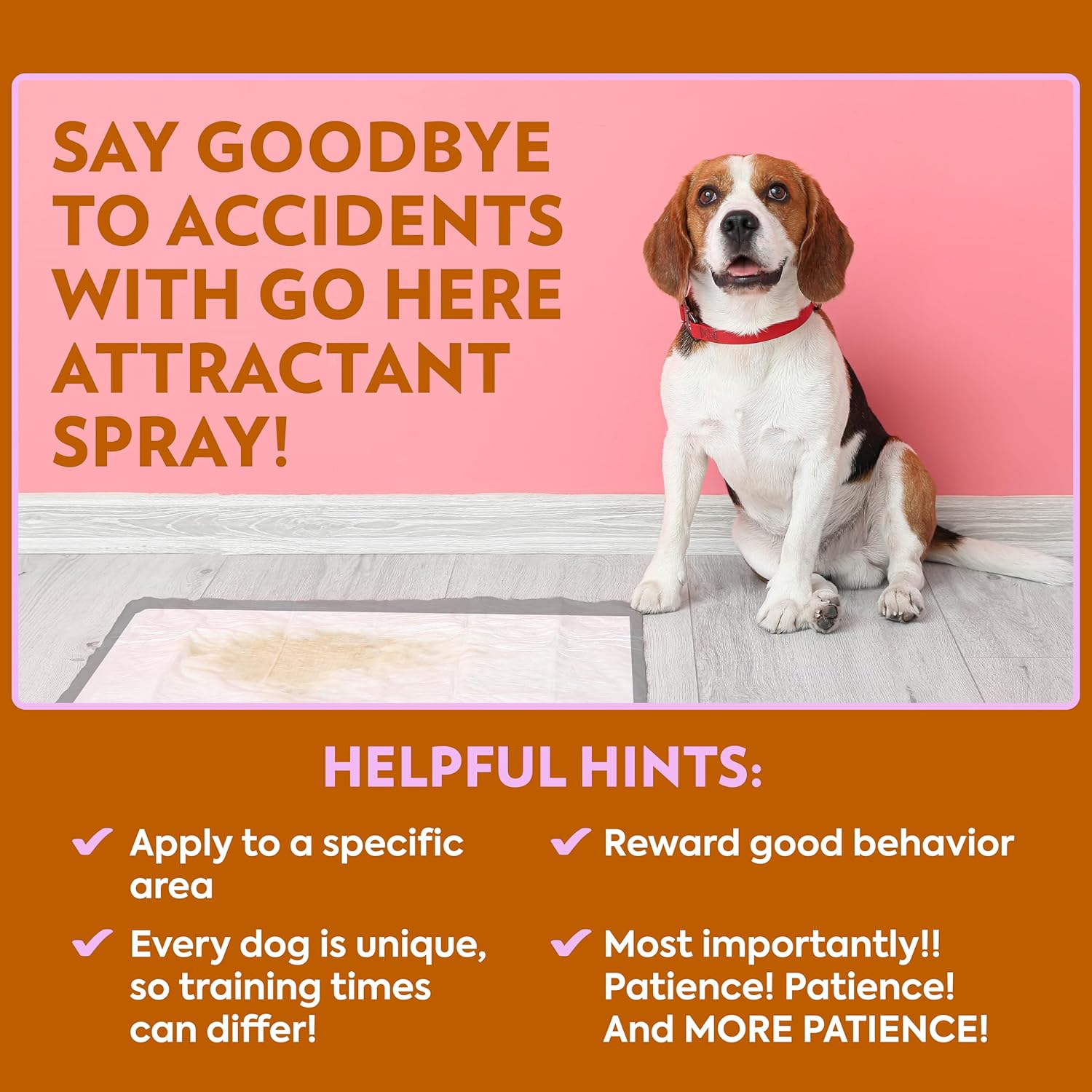 PetCare Go Here Attractant Dog and Puppy Potty Training Spray, Safe & Effective Puppy Pee Spray, Dog Housebreaking Supplies, Indoor and Outdoor House Training Tool for Pee and Poop, 32 oz - Image 7