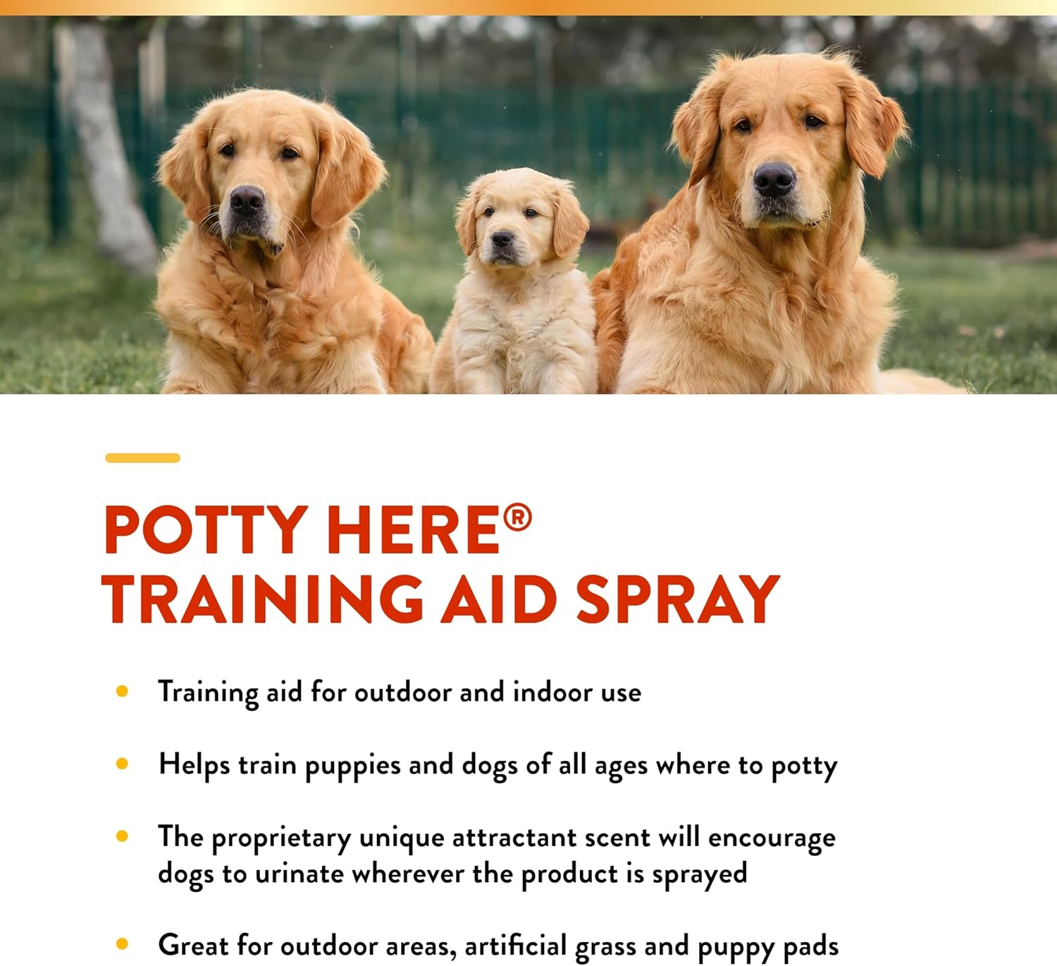 NaturVet β Potty Here Training Aid Spray | Attractive Scent Helps Train Puppies & Dogs Where To Potty | Formulated For Indoor & Outdoor Use | 32 oz - Image 5