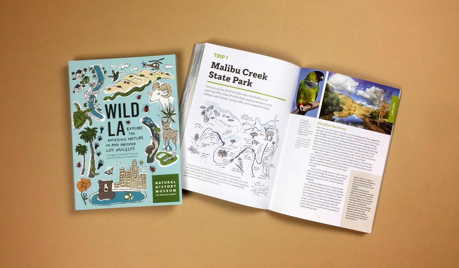 Wild LA: Explore the Amazing Nature in and Around Los Angeles (Wild Series) - Image 9