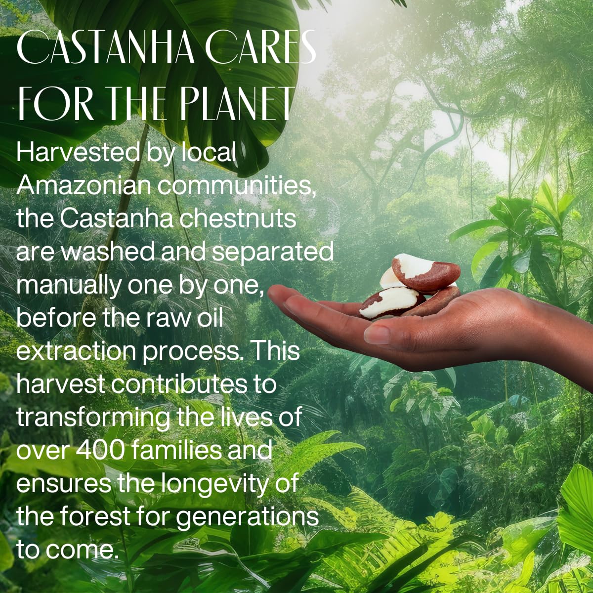 natura - Ekos Castanha Nourishing Foot Cream - Nourish & Soothe Dry Skin - Fast Absorbing - With Brazil Nut Oil to Deeply Moisturize - Vegan & Cruelty-Free - 2.6 oz (75g) - Image 6