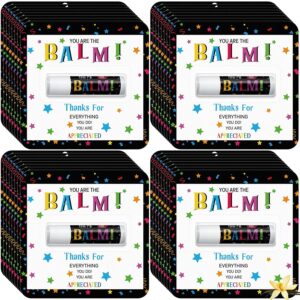 15 Pack Back to School Appreciation Gifts Lip Balm Bulk Teacher Thank You Gifts End of Year Employee Staff Team Volunteer Pastor Appreciation Party Favor for Women Men Coworker Club You're the Balm