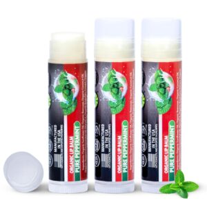 Peppermint Lip Balm Bulk 3 Pack, Organic Mint Lip Balm for Men and Women, Moisturizing Dry Lips, All Natural Sunflower Oil, Coconot Oil, Beeswax, Vitamin E, Non Toxic, USDA Organic, Made in USA