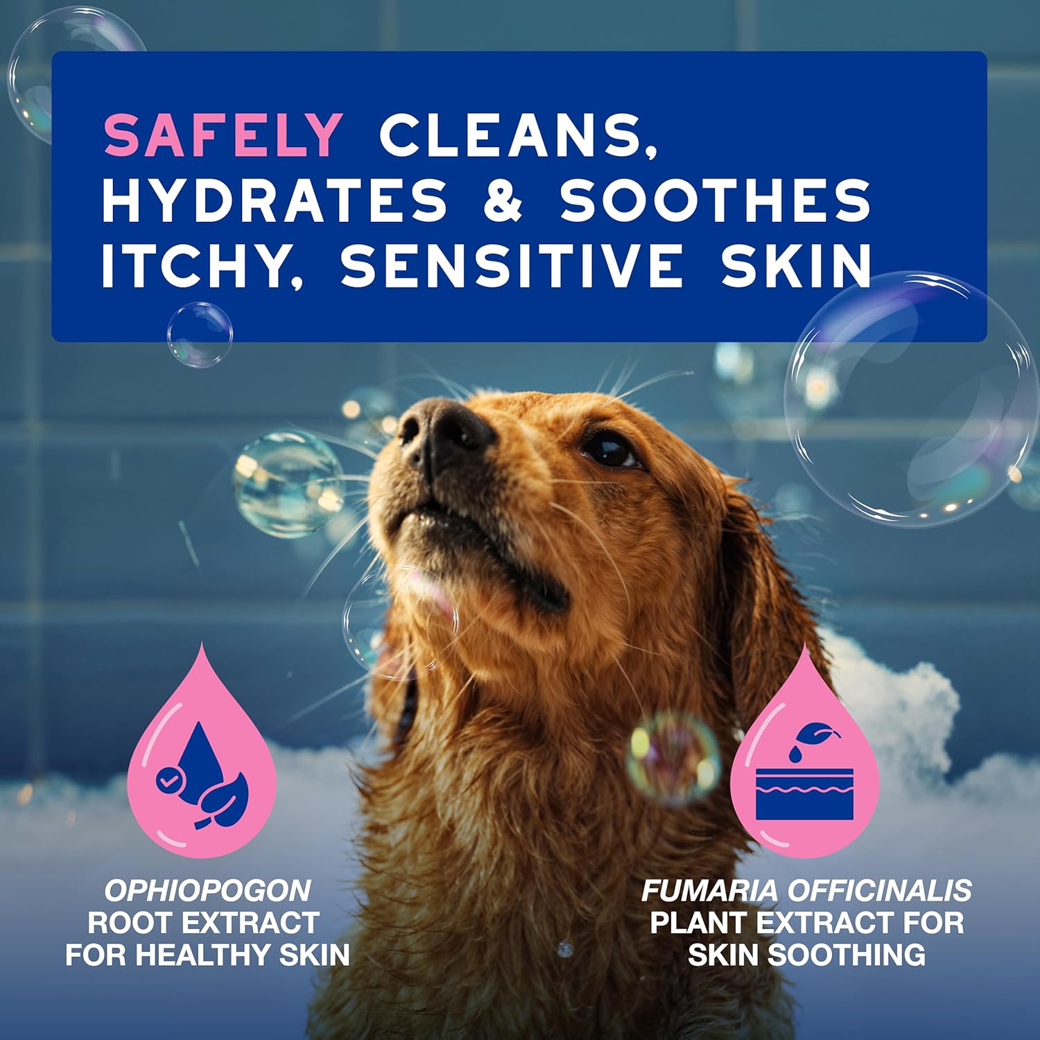 DOUXO Gentle Cleansing SPA Dog Shampoo for Itchy Skin, 16 fl oz - Image 3