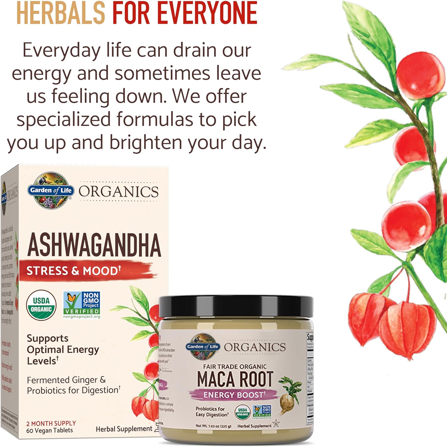 Garden of Life Organics Fair Trade Gelatinized Peruvian Maca Root Energy Boost 7.93 oz (225g) Powder with Probiotics, Certified Organic, Non-GMO, Vegan & Gluten Free Herbal Supplements - Image 6