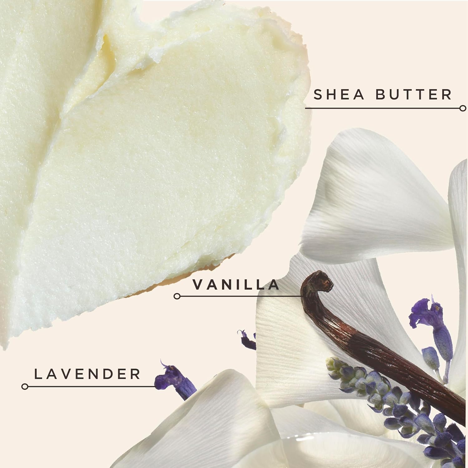 Carol's Daughter Black Vanilla Sulfate-Free Conditioner for Curly, Wavy, Natural, Dry, Damaged Hair, 12 Fl Oz - Image 5