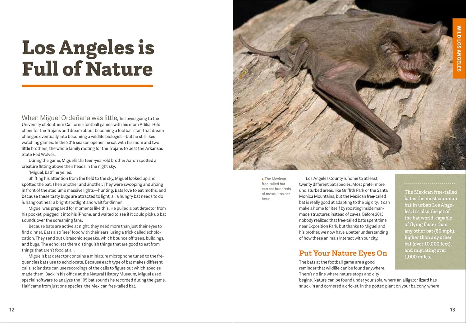 Wild LA: Explore the Amazing Nature in and Around Los Angeles (Wild Series) - Image 5