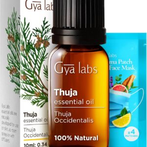 Gya Labs Thuja Essential Oil for Candle Making Scents - 0.34 Fl Oz - Natural Thuja Oil