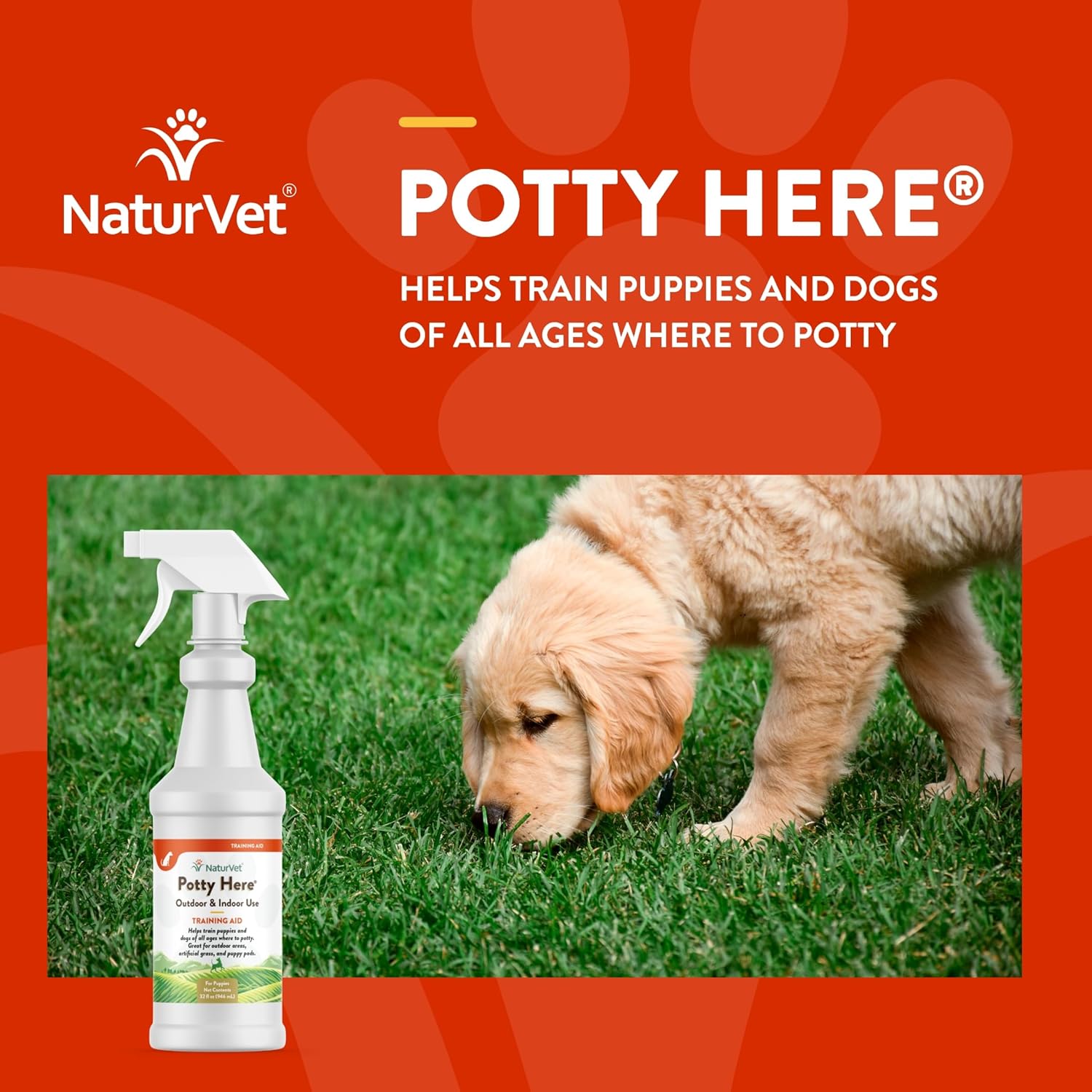 NaturVet β Potty Here Training Aid Spray | Attractive Scent Helps Train Puppies & Dogs Where To Potty | Formulated For Indoor & Outdoor Use | 32 oz - Image 4