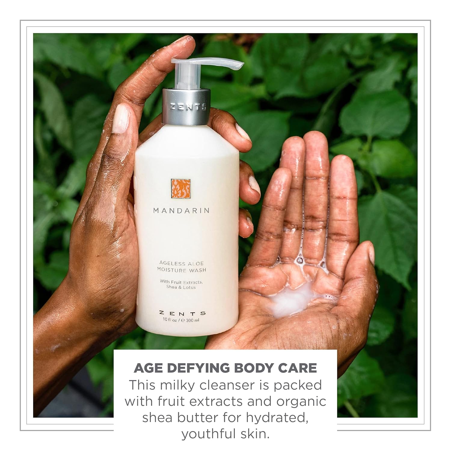 Zents Hand & Body Wash (Mandarin Fragrance) | Hydrating Anti-Aging Cleanser with Organic Shea Butter & Aloe for Dry Skin | Gentle & Nourishing | 10 fl oz - Image 2
