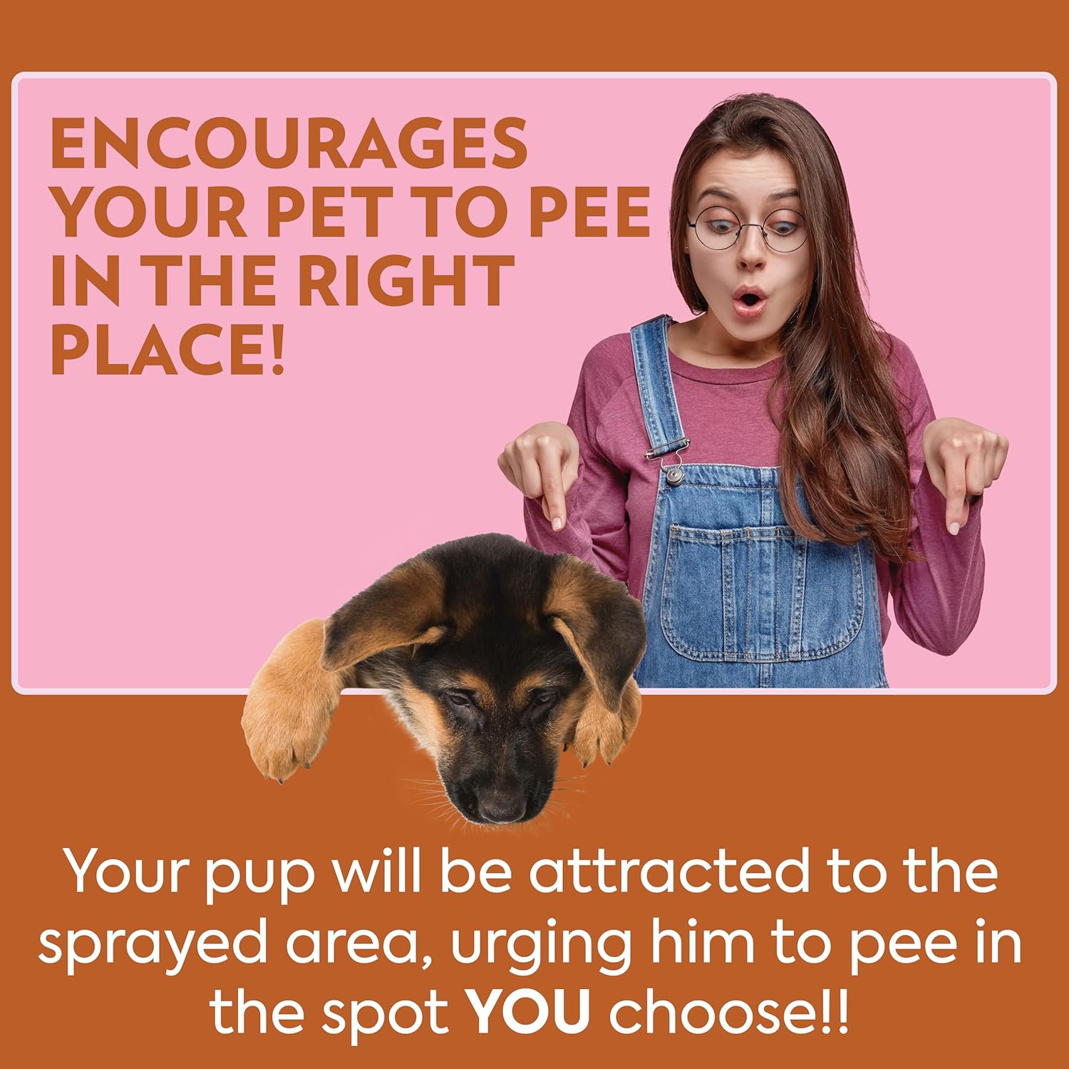 PetCare Go Here Attractant Dog and Puppy Potty Training Spray, Safe & Effective Puppy Pee Spray, Dog Housebreaking Supplies, Indoor and Outdoor House Training Tool for Pee and Poop, 32 oz - Image 8