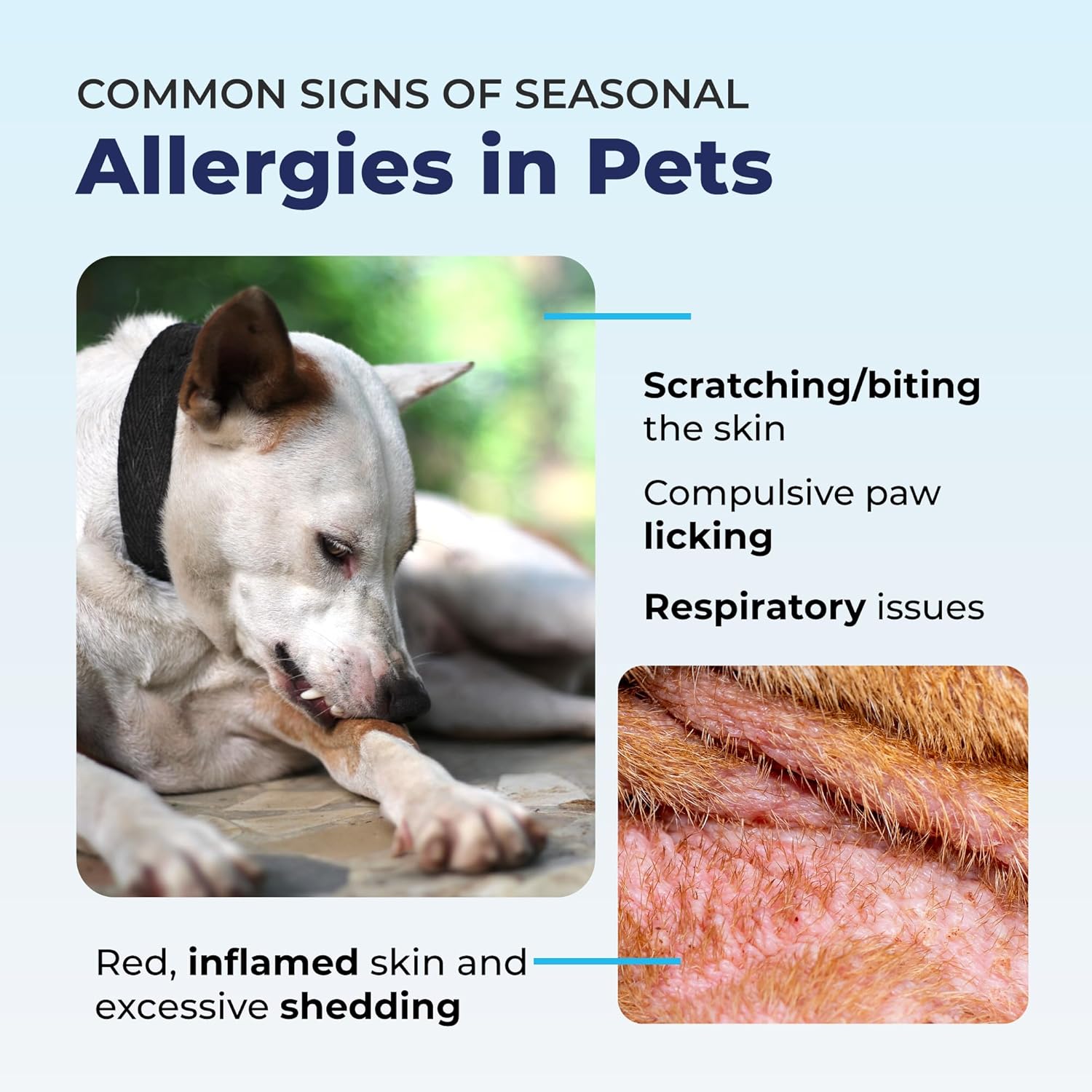 Vetnique Dermabliss Anti Itch Spray for Dogs & Cats with Hydrocortisone for Allergies and Immediate Dog Itching Skin Relief - Fragrance Free with Soothing Oat Extract (4oz) - Image 4